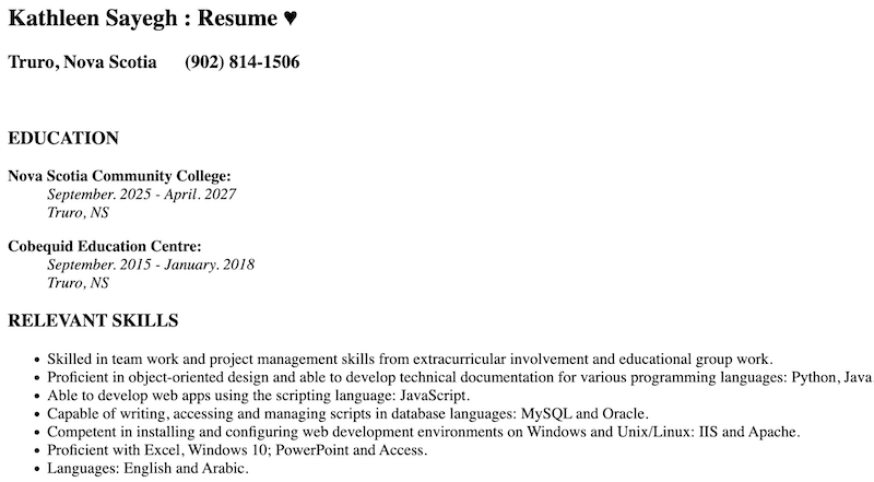 Resume Preview